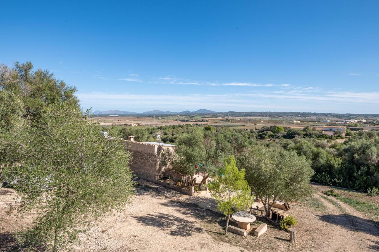 Villa Son Pusseta Petra  Esterno foto